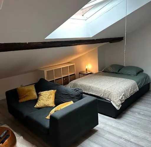 Centre & Gare Appartement *